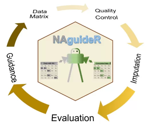 NAguideR pipeline—data matrix, QC, imputation, evaluation, and guidance loop for proteomics.